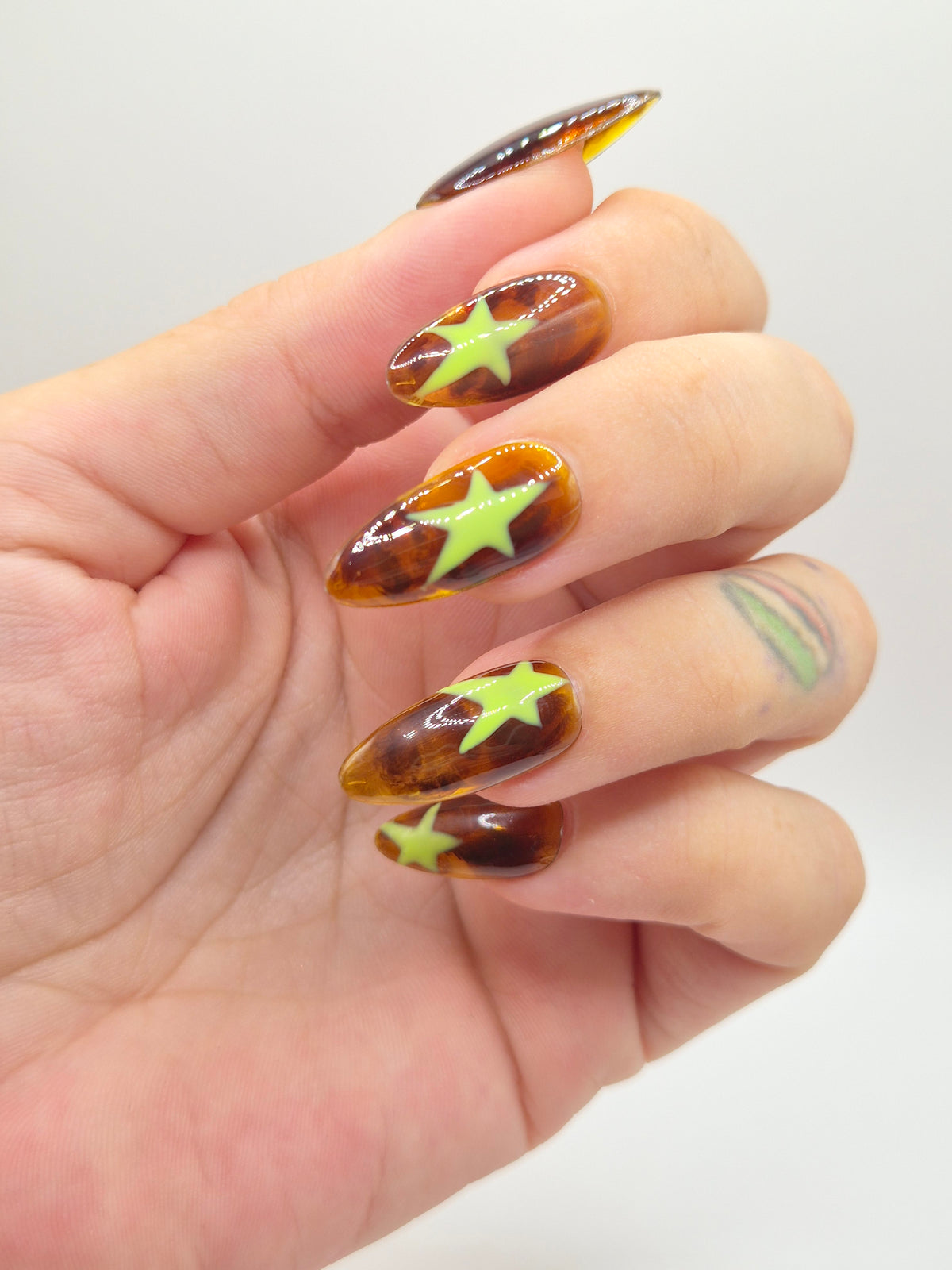 Tortoise & Stars